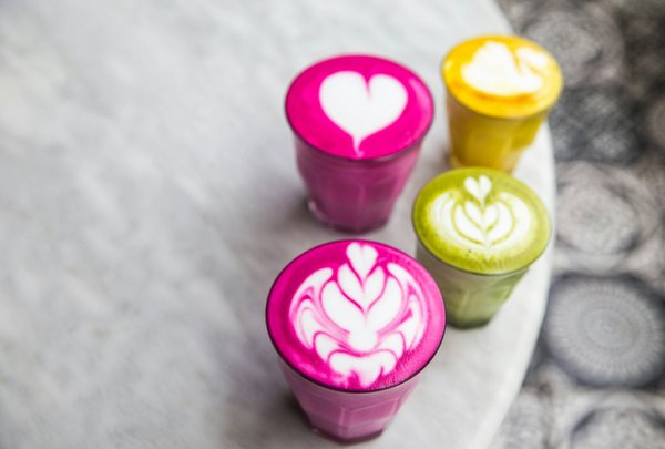 Quels sont les effets des régimes riches en antioxydants sur la prévention des maladies neurodégénératives?